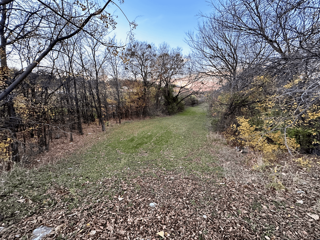 Neighborhood Green Belt